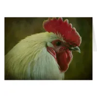 Rooster 2