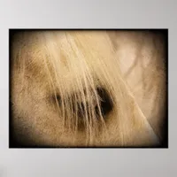 Palomino Horse Face Side Grunge Poster
