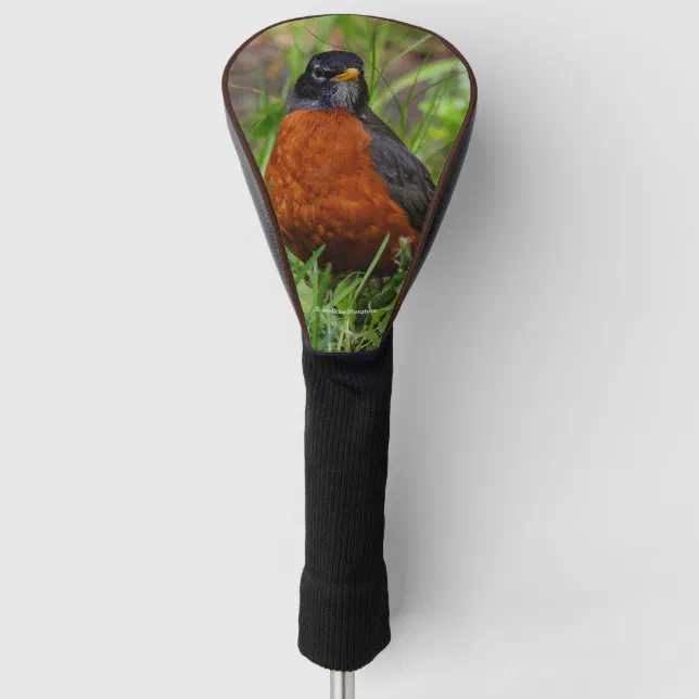 A Curious and Hopeful American Robin Golf Head Cover