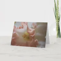 Daffodil Card