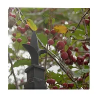 Fence and Crabapples Ceramic Tile