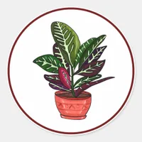 Calathea Hand Drawn Houseplant Art  Classic Round Sticker