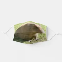 Lazy Capibara Adult Cloth Face Mask