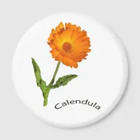 Magnet - Calendula and text