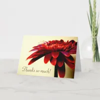 Red Gerbera Thank You Card