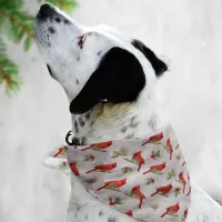 Winter Cardinals and Pines Bandana