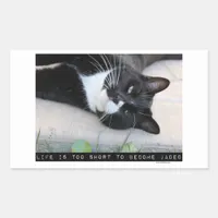 Do Not Be Jaded Funny Cat Rectangular Sticker