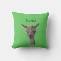 Pillow - Alpaca Portrait