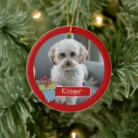 Holiday Pet Photo Ornament