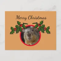 Postcard - Christmas Greeting Squirrel