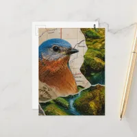 Beautiful Bluebird Forest Map Collage Postcard