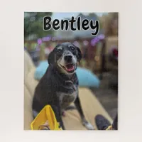 Personalized Pet Photos Template Jigsaw Puzzle