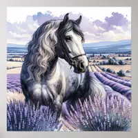 Pretty Gray Horse Standing in Lavender Poster