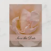 Pink Rose Floral Quinceañera Save the Date Announcement Postcard