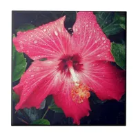 Pretty Tropical Flower Ceramic Tile