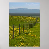 Yellow Sunflowers and Mountains Poster