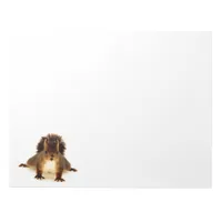 Squirrel brown cute funny white notepad