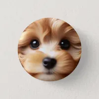 Cockapoodle Puppy Face With Big Eyes, Cute Dog Button