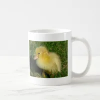 First Scovie of the Season Coffee Mug