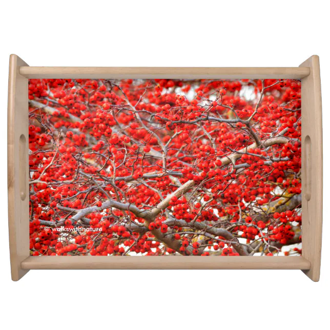 Bright Red Winterberries Holly Tree Berries Serving Tray