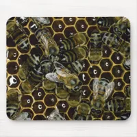 Mousepad - bees on comb