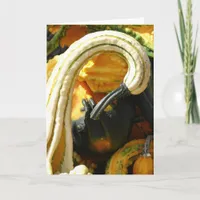 Gourds Card