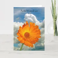 Card - greeting - Calendula  on Stem