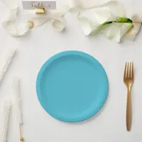 Modern coastal aqua solid paper plates