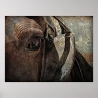 Amish Horse in Blinders Poster