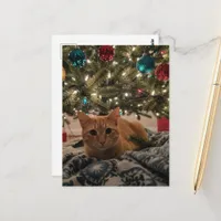 Ginger Kitty Under the Christmas Tree Postcard