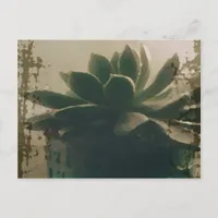 Plant Postcard