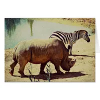 Rhino and Zebra