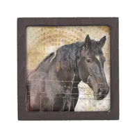 The Gentle One, A draft horse Jewelry Box