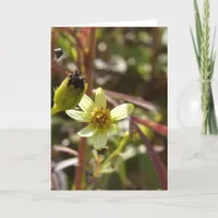 Pretty Little Yellow Flower Card