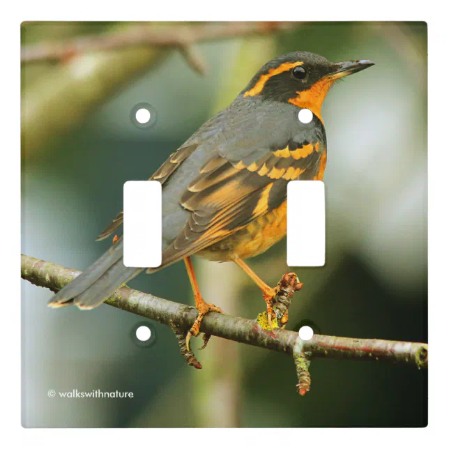 Beautiful Varied Thrush Songbird in the Tree Light Switch Cover