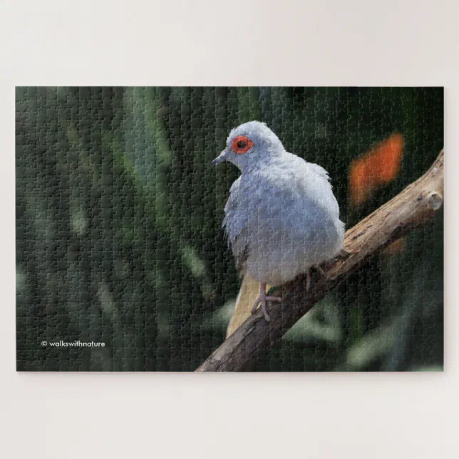 Beautiful Diamond Dove in the Spotlight Jigsaw Puzzle