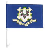 Connecticut State Car Flag