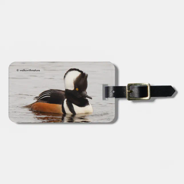 Stunning Hooded Merganser Duck at the Pond Luggage Tag