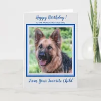 Happy Birthday  - Worlds Best Dog Dad - Pet Photo Card