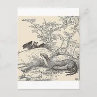 Thumbnail for The Bat and The Mink Postcard