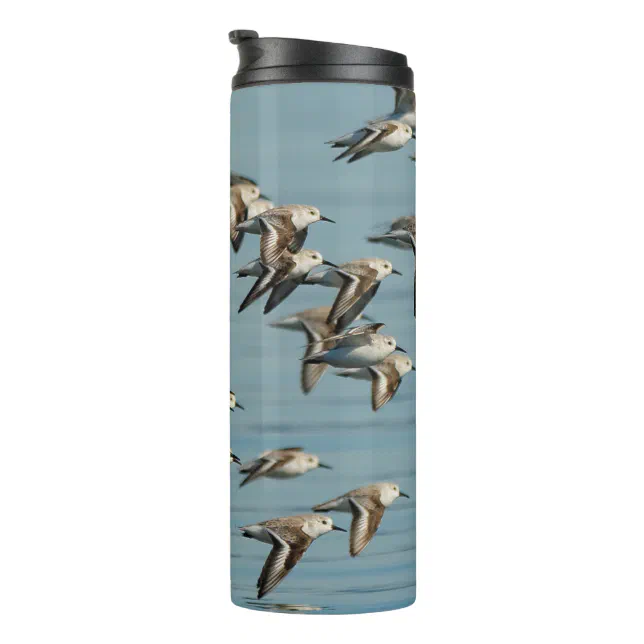 Sanderlings Take Flight in the Winter Skies Thermal Tumbler