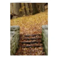 Follow the Path