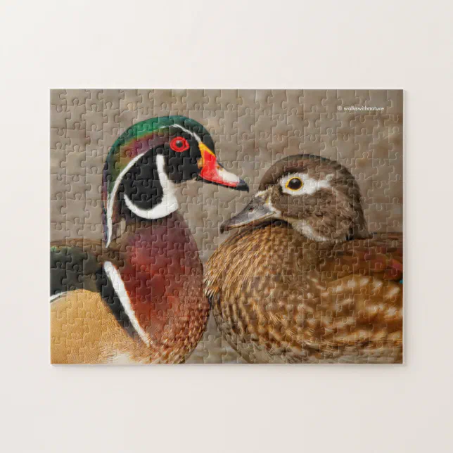 Beautiful Touching Moment Between Wood Ducks Jigsaw Puzzle