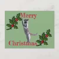 Post Card - Merry Christmas Holly and Cat