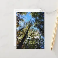 The Autumn Forest Postcard