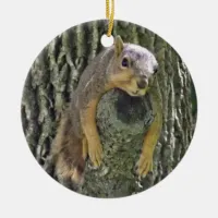 Funn Squirrel Christmas Ornament