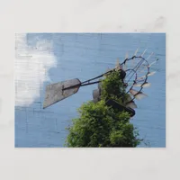 Windmill Exclusive Postcard