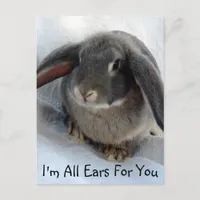 I'm All Ears For You Postcard