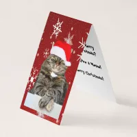 Christmas Cat Photo in Santa Hat Snowflake in Red