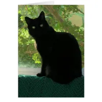 Card - Note - Black cat in window